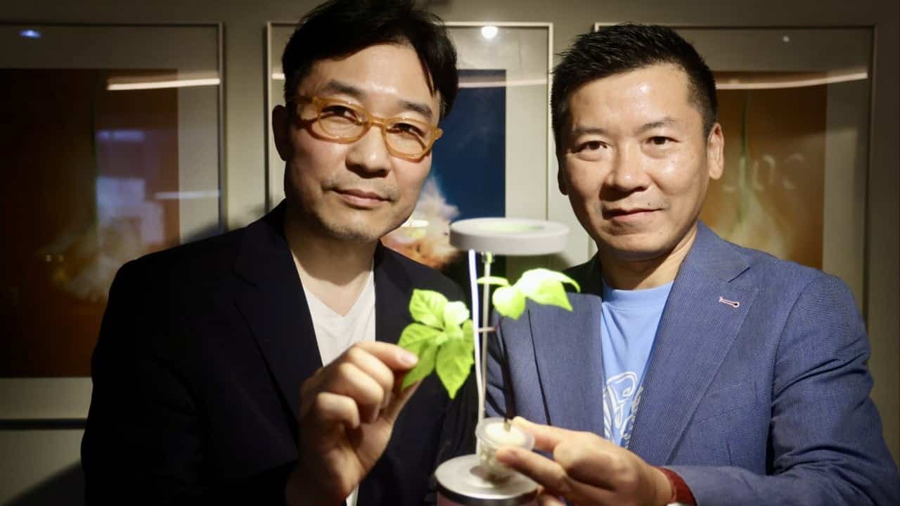 Foreign firms tap Hong Kong for culinary ventures despite sector downturn