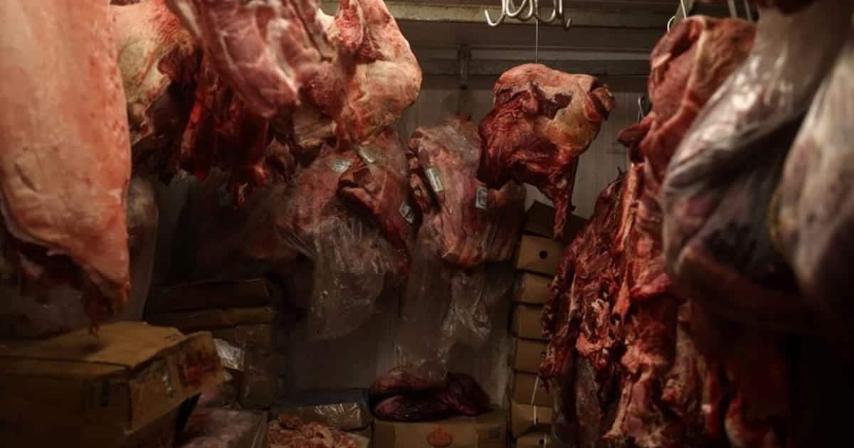 Brazil Implements New Meat Export Regulations to Meet EU Standards