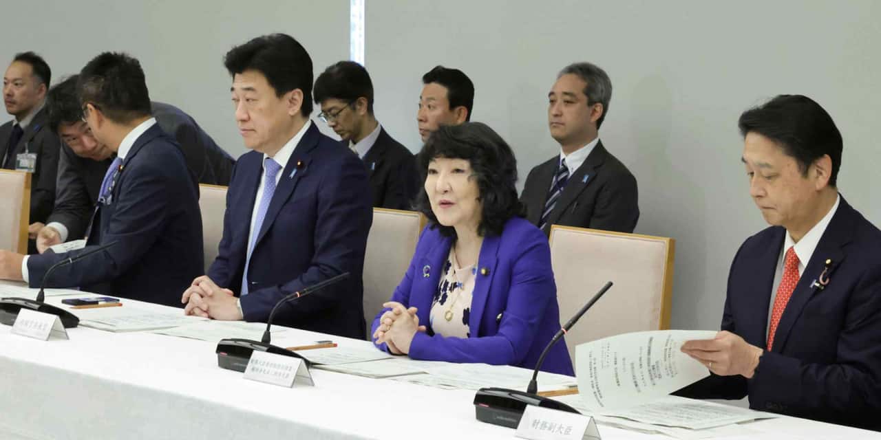 Japan's government to accelerate spending review, eye subsidies