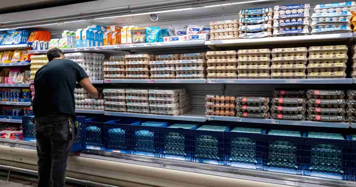 Egg Producers to Pay $3.3 Million to Settle Federal Price-Fixing Lawsuit