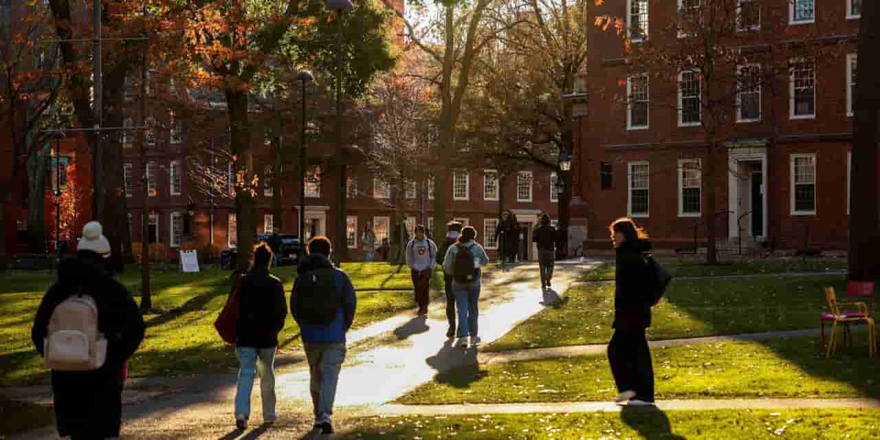 Indian students rethink overseas education amid visa hurdles, rising costs