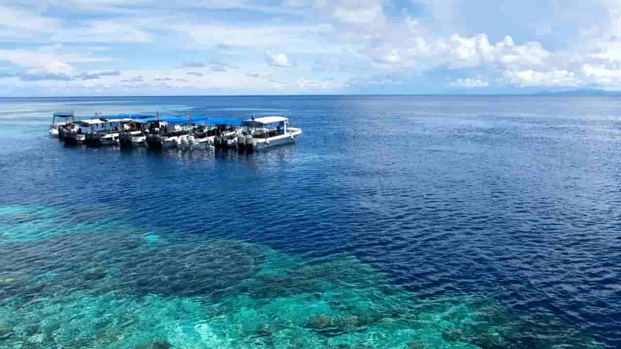 Malaysia's coral reefs at risk from offshore oil exploration