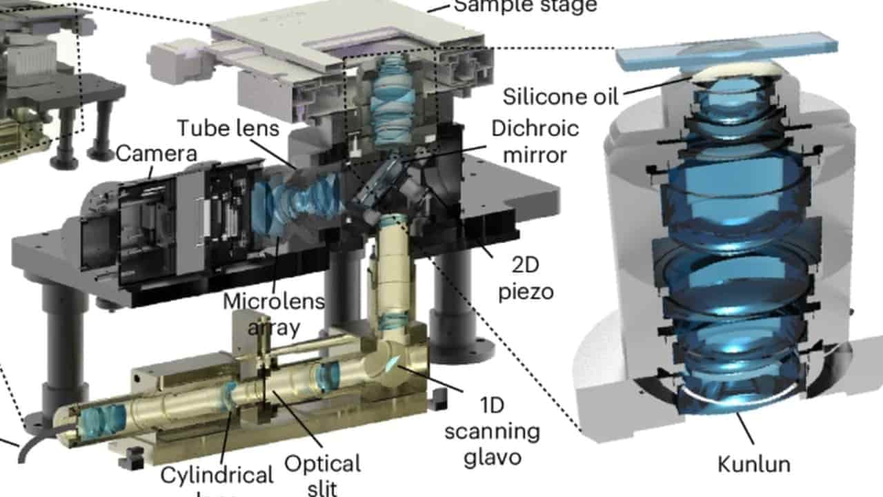 Super microscope captures how acupuncture calms cell chaos