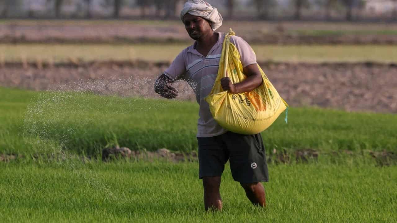 India's erratic monsoon threatens harvests, raises spending fears
