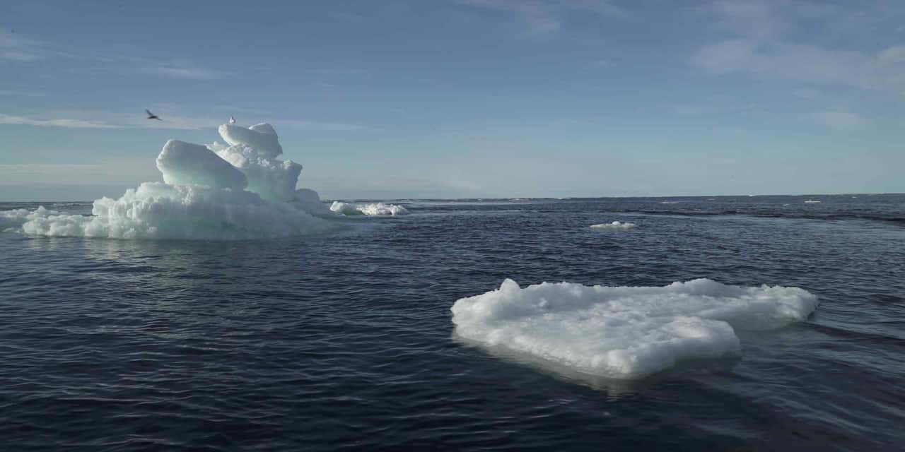 China shipper launches regular Arctic service; South Korea tests route