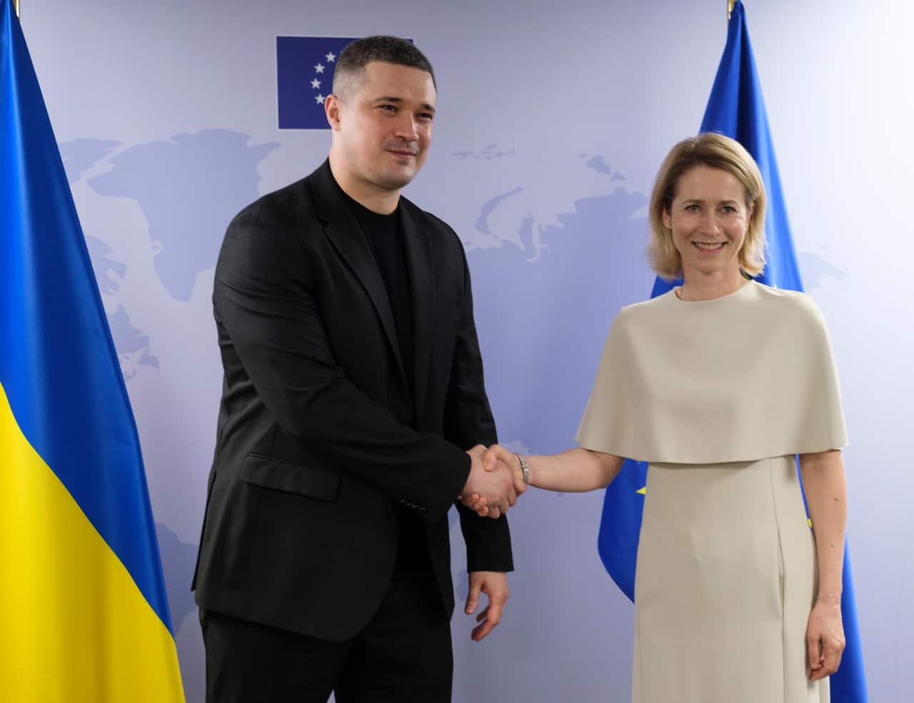 Fedorov seeks EU loans for Ukraine's air defense before dismissal