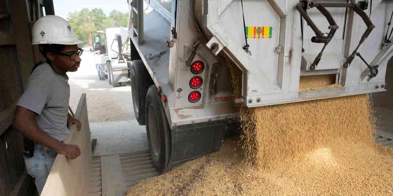 Soybeans slump on dimming hope of Chinese tariff cuts