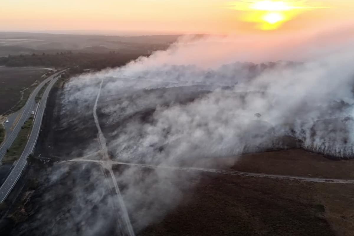 Firefighters battle New Forest blaze for 11 days