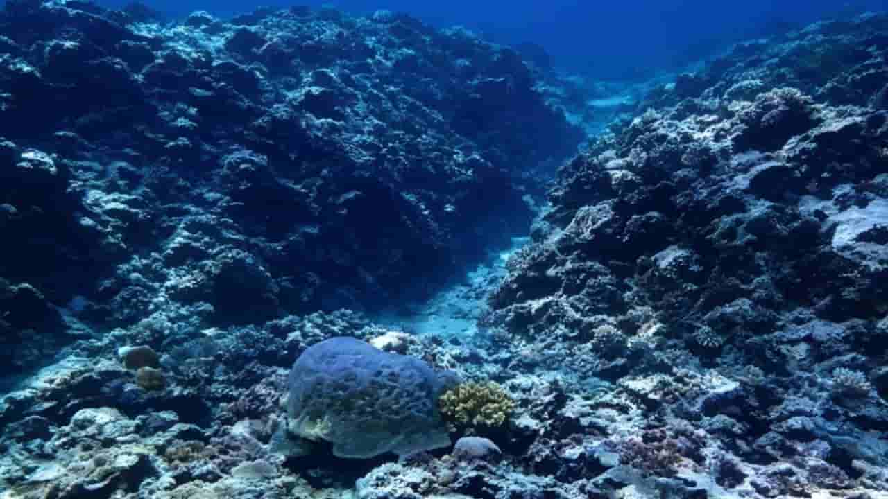 Beijing Releases Ecological Report to Bolster South China Sea Claims Amid US Tensions