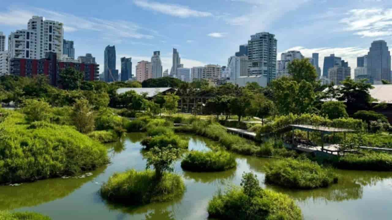 China's property crisis deepens as developers face mounting debt