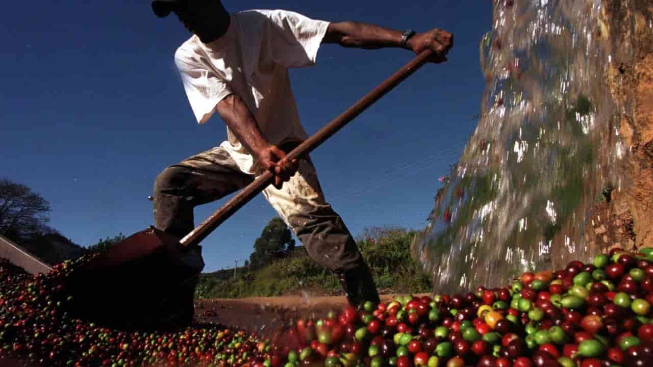 Trump tariffs shift Brazil trade to China, US share drops