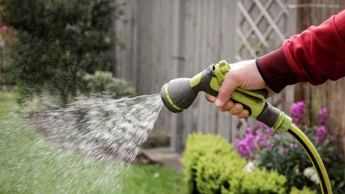 UK water restrictions expand as heatwave strains resources