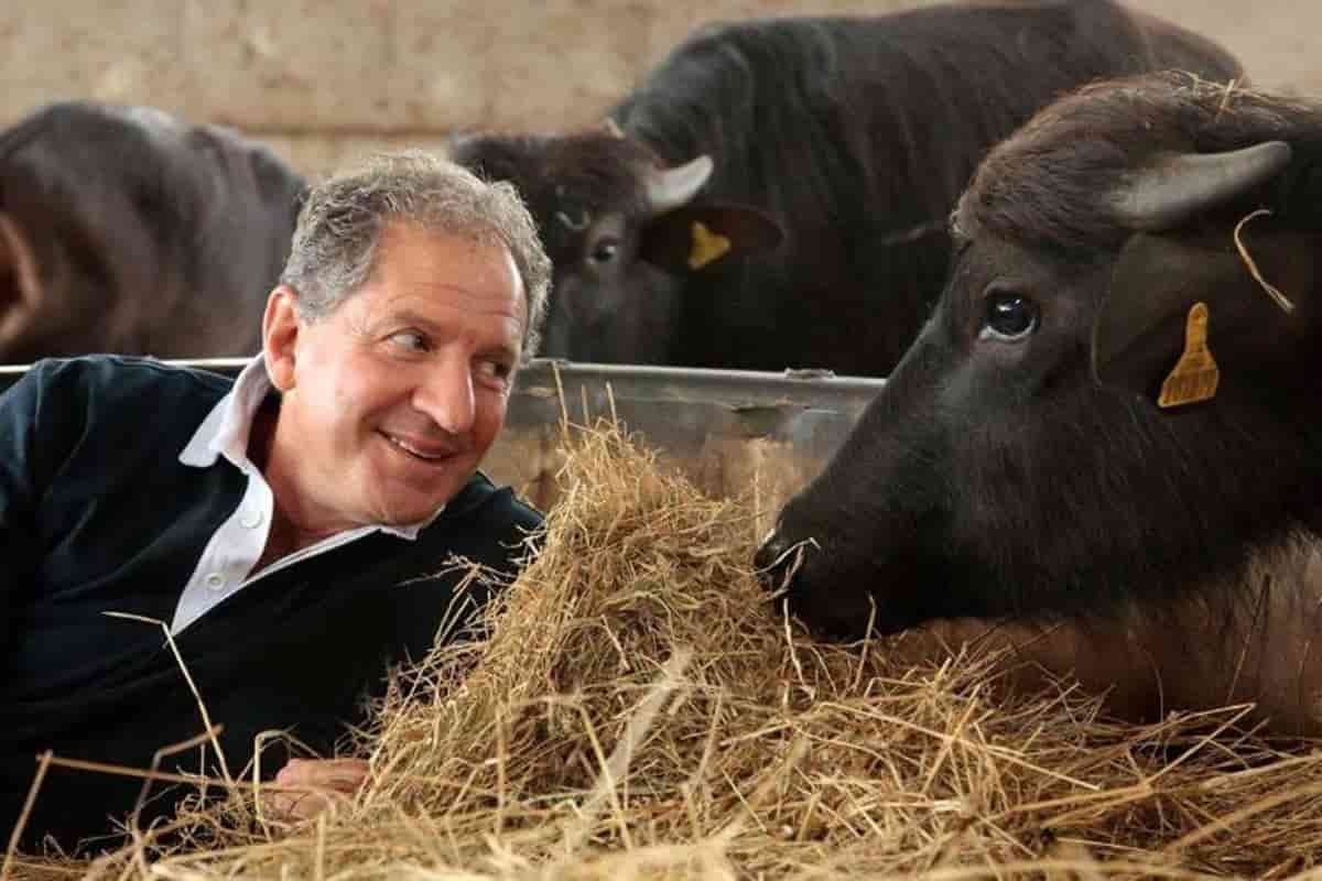 Jody Scheckter loses £1.4m tax bill appeal over failed buffalo farm