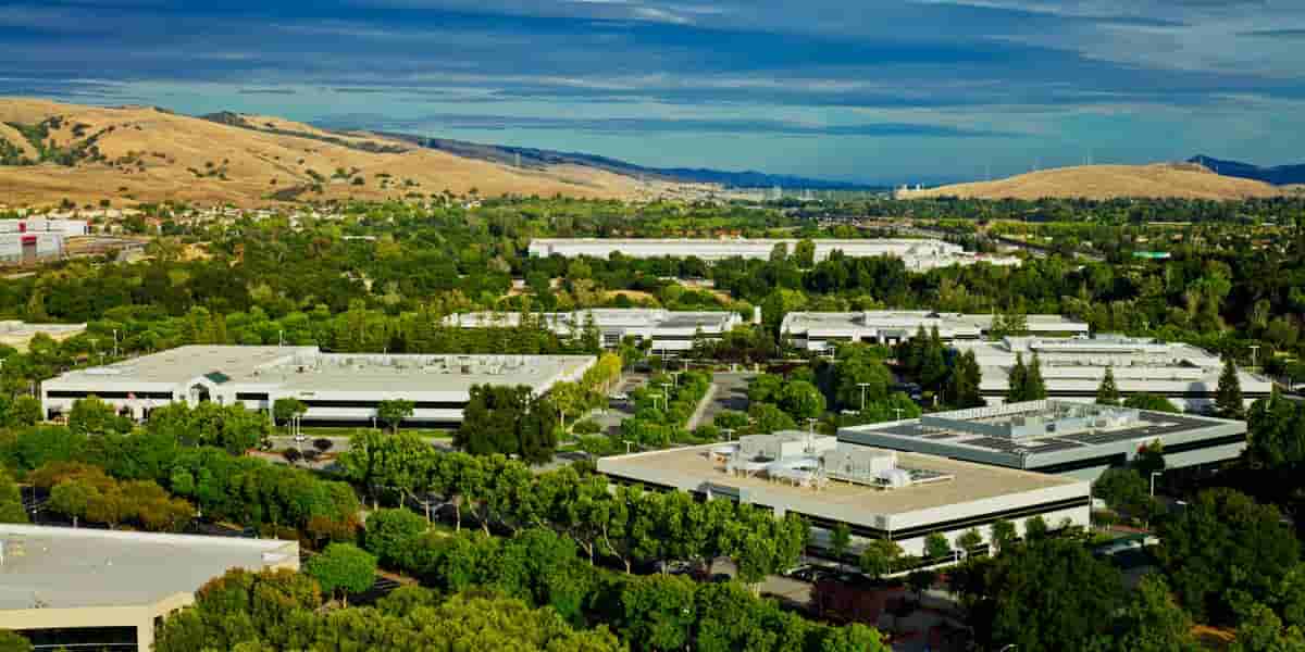 AI workers cash in on tech boom, seek diversification and tax strategies