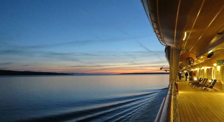 WHO declares hantavirus outbreak linked to cruise ship over