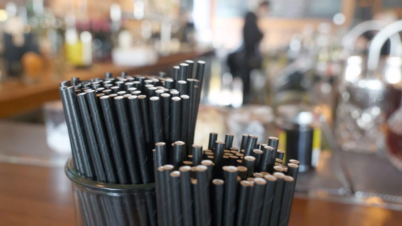 Paper straws worse for environment than plastic, South Korea study finds