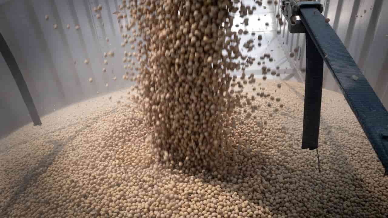 US soybean growers seek new markets amid China demand fears
