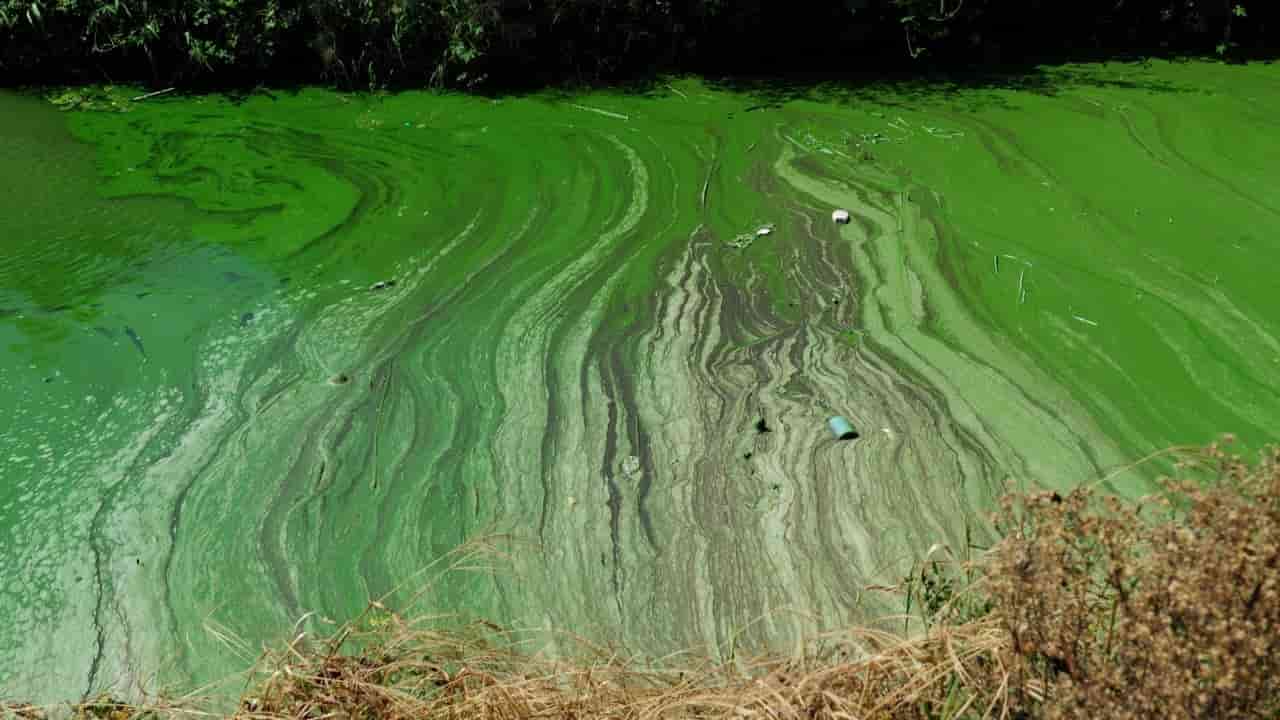 China holds officials liable for environmental damage