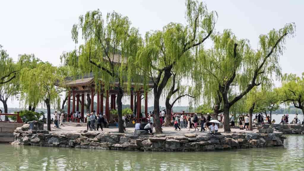 Trees producing ozone smog in Beijing, Chinese scientists find