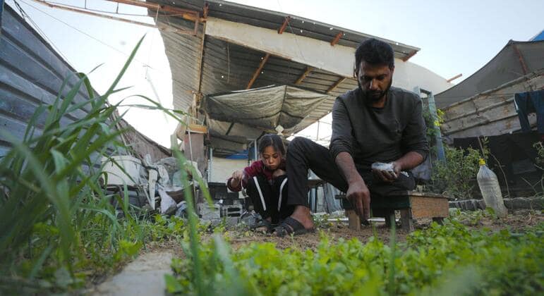 UN: Only 3% of Gaza cropland accessible and undamaged