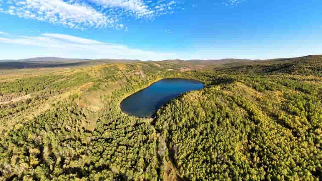 US and China botanists sign cooperation pact amid geopolitical tensions