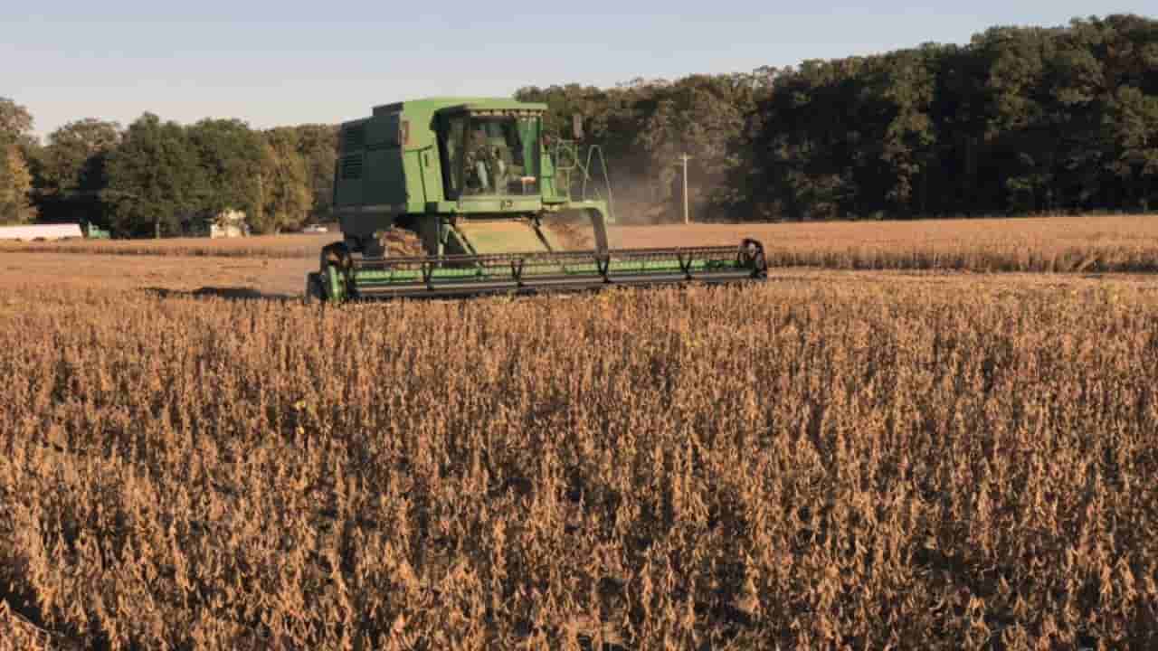 US says China on track to meet farm purchase targets ahead of Xi visit