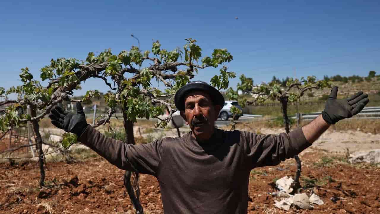 Israel confiscates Palestinian land for settler road expansion