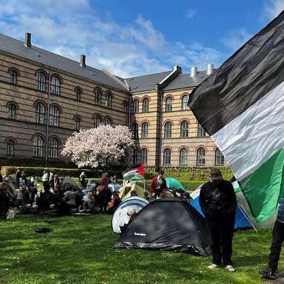 Belgian universities condemn government over Gaza student evacuation refusal