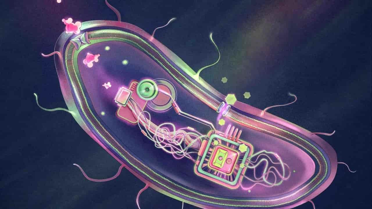 Chinese team aims to put ‘smart’ diabetes probiotic on US shelves within 2 years