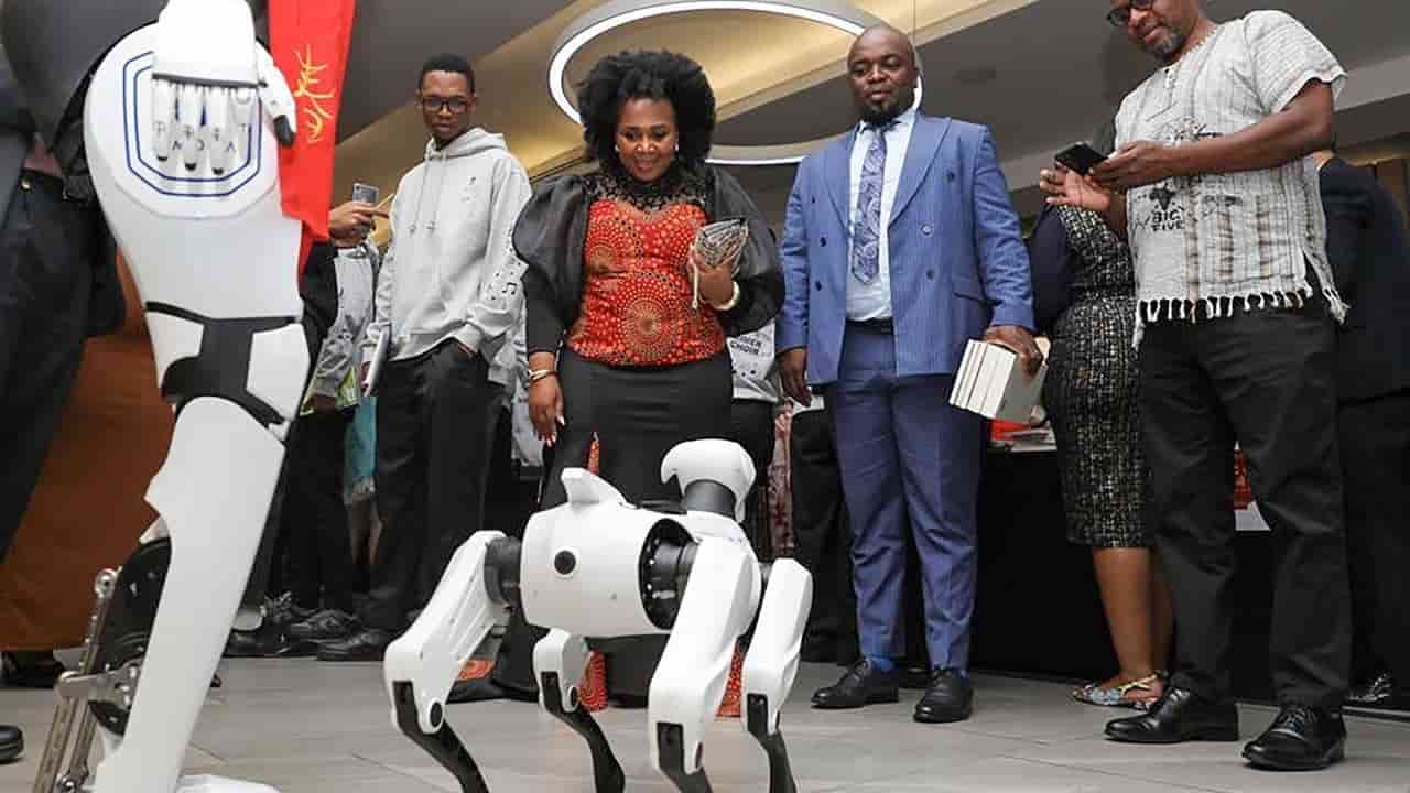 China's dancing robots highlight dual-use tech concerns for Africa