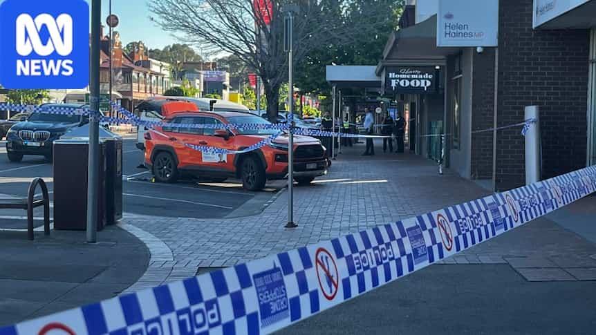 Independent MP Helen Haines injured in vehicle incident outside office