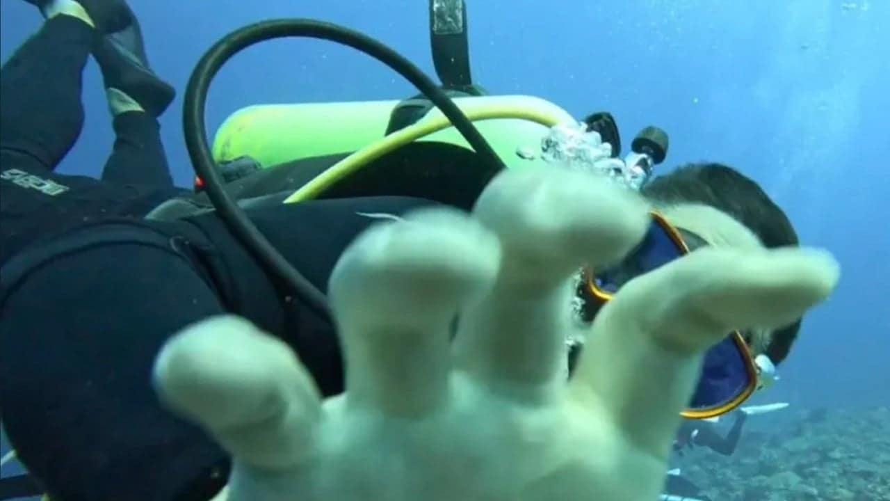 Taiwanese musician assaulted by South Korean diver underwater in Palau