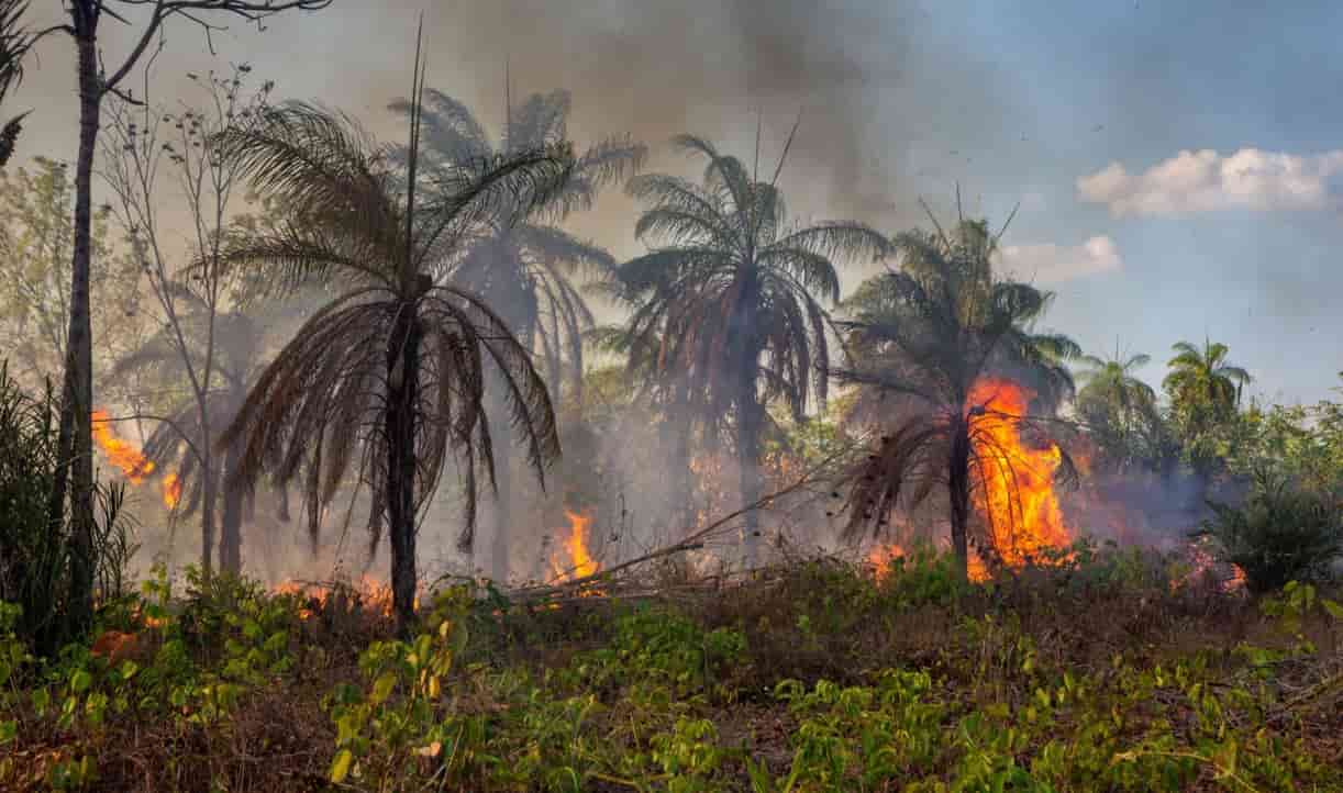 El Niño's Impact Less Severe Than Feared So Far