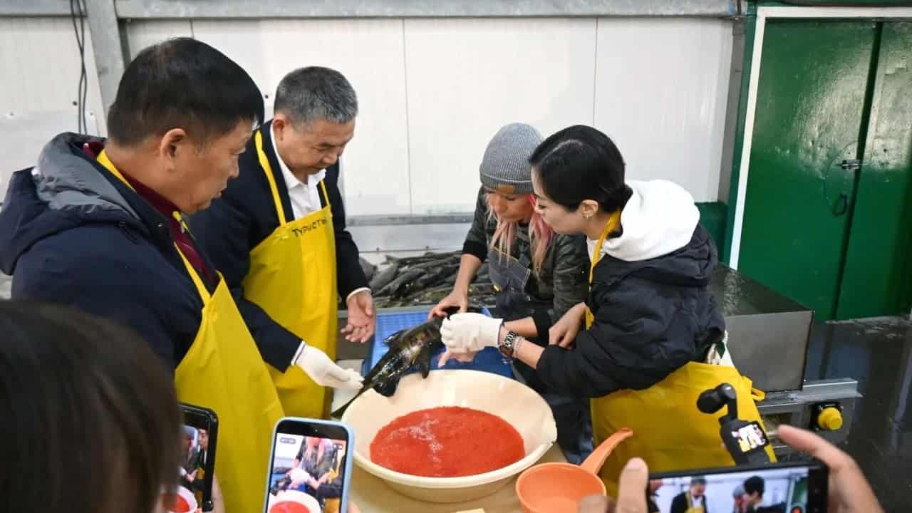 China business visit to disputed Kuril Islands angers Japan