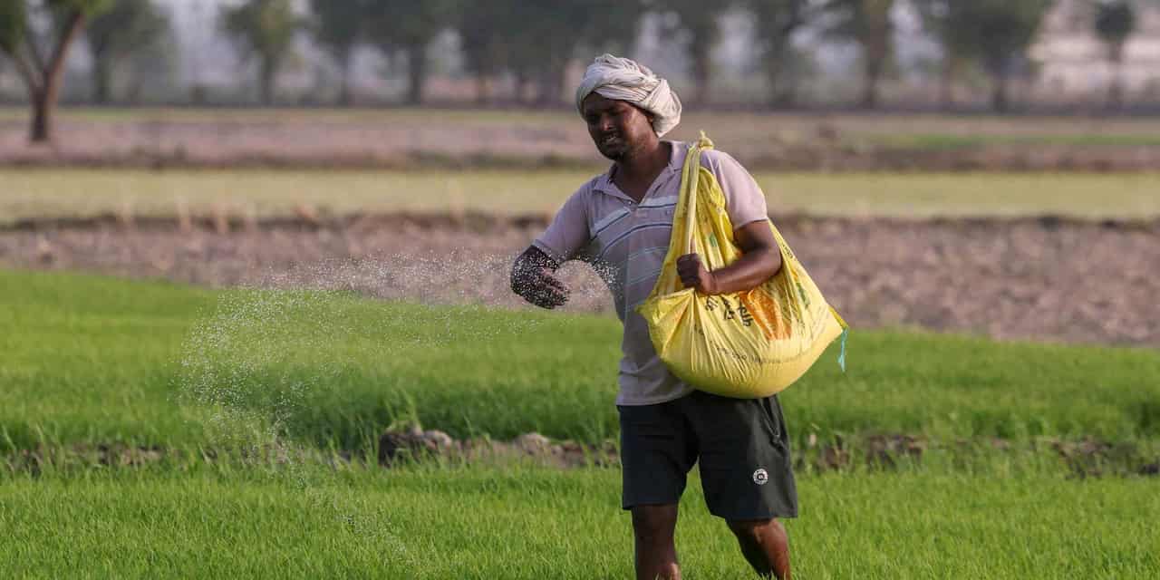 India pivots to natural farming and ammonia amid Iran war urea shock