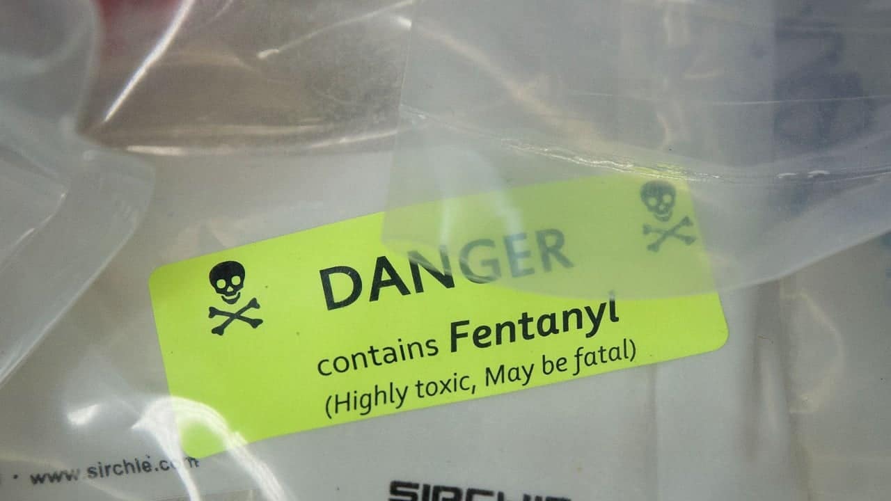 Two sentenced for trafficking fentanyl analogues from China to US