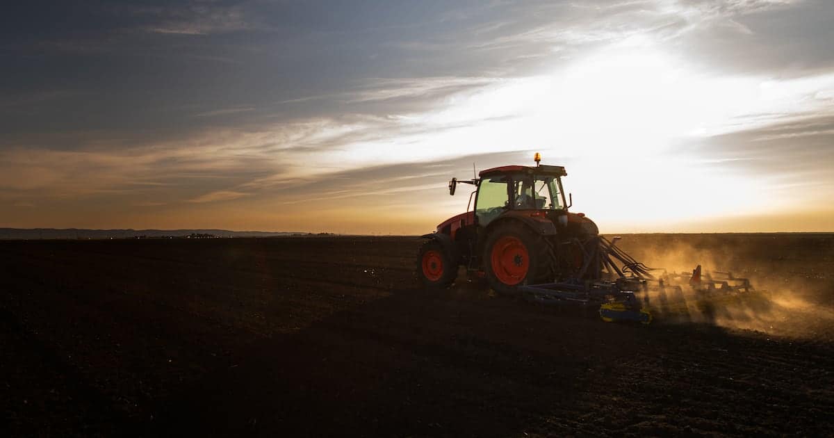 Pladis launches regenerative agriculture program to secure wheat supplies