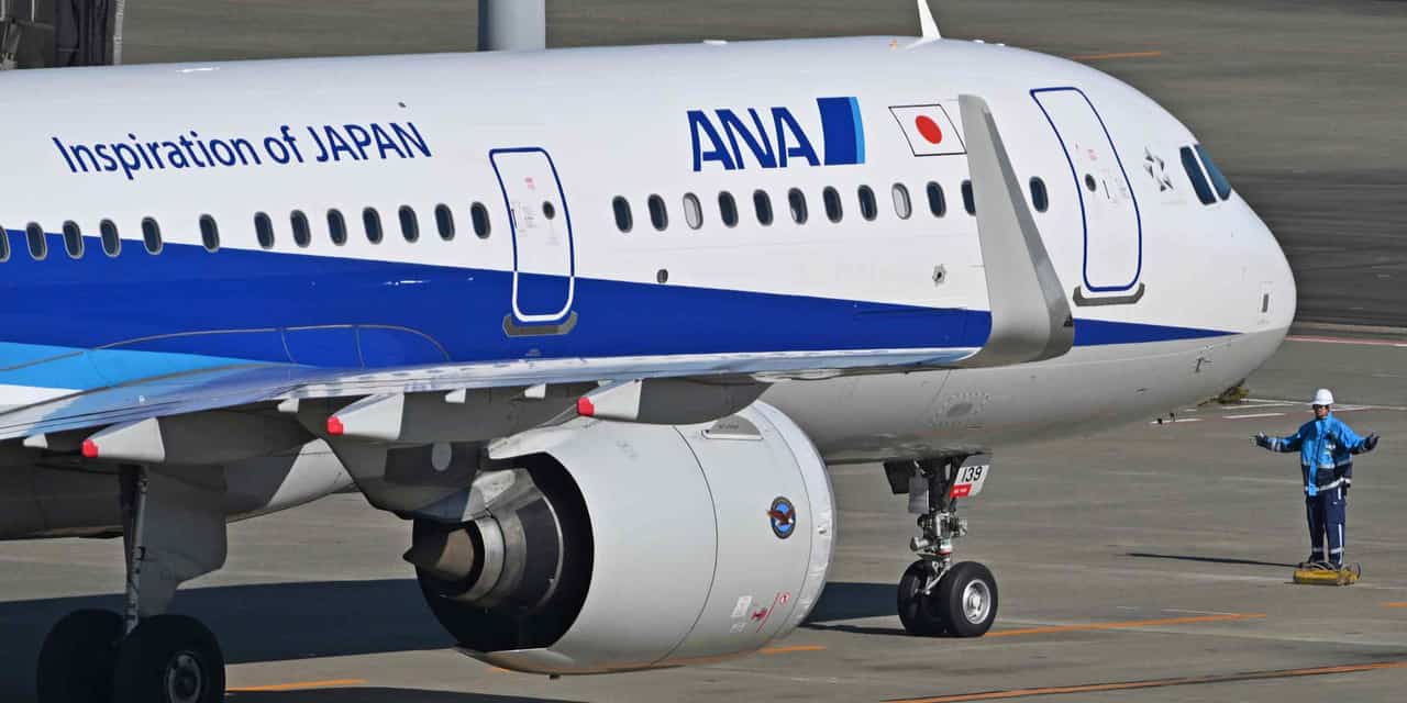 ANA Holdings seeks to overhaul domestic flight revenue amid rising costs