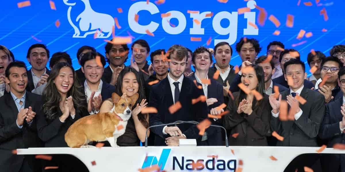 Insurtech Corgi seeks investment bankers on commission-only basis