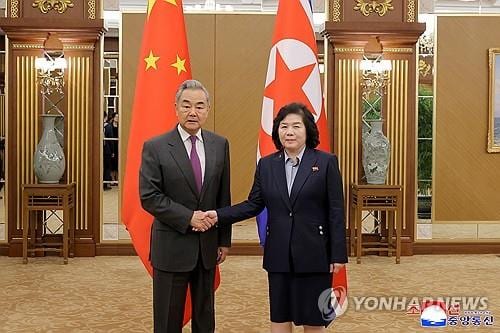 North Korea's FM calls for stronger ties with China in letter to Wang Yi
