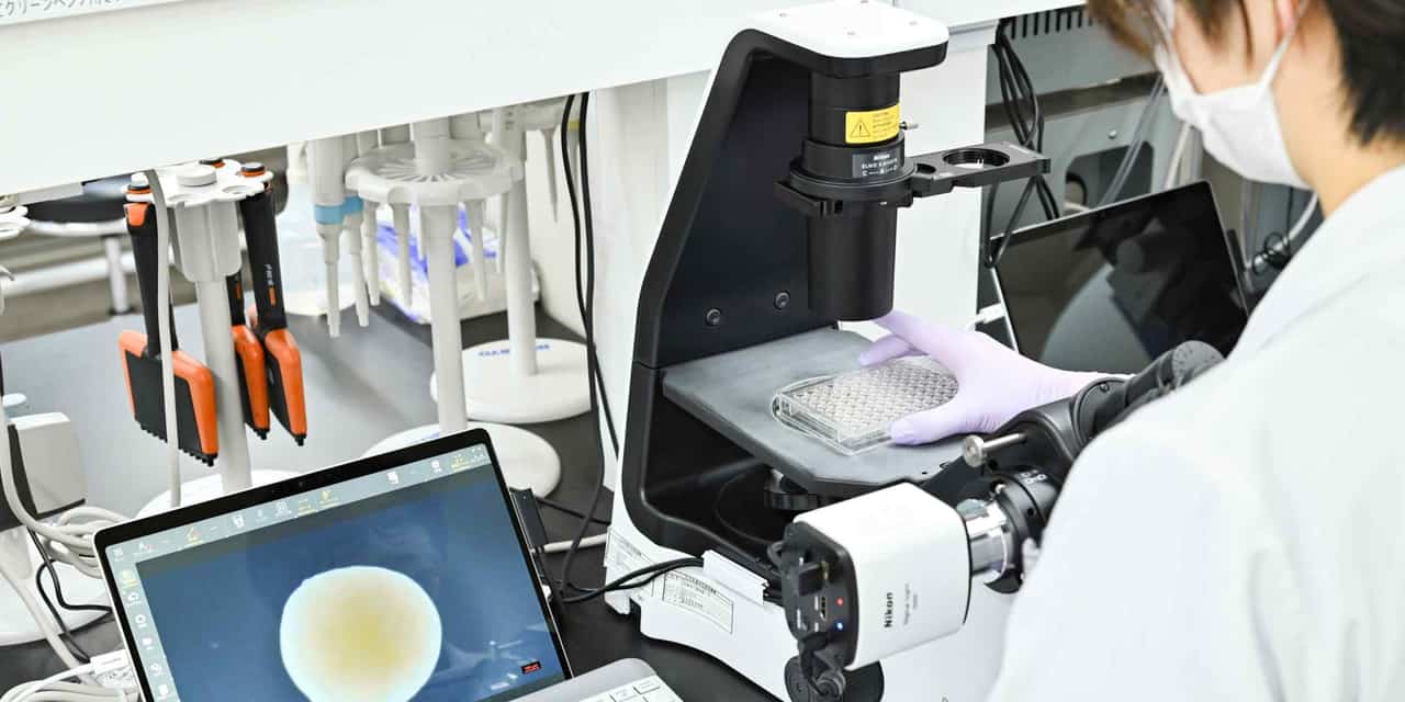 Japan aims to develop Osaka and Kobe into biotech hubs