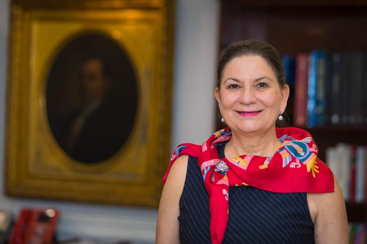 Mexico's Ambassador Navigates High-Stakes US Relations