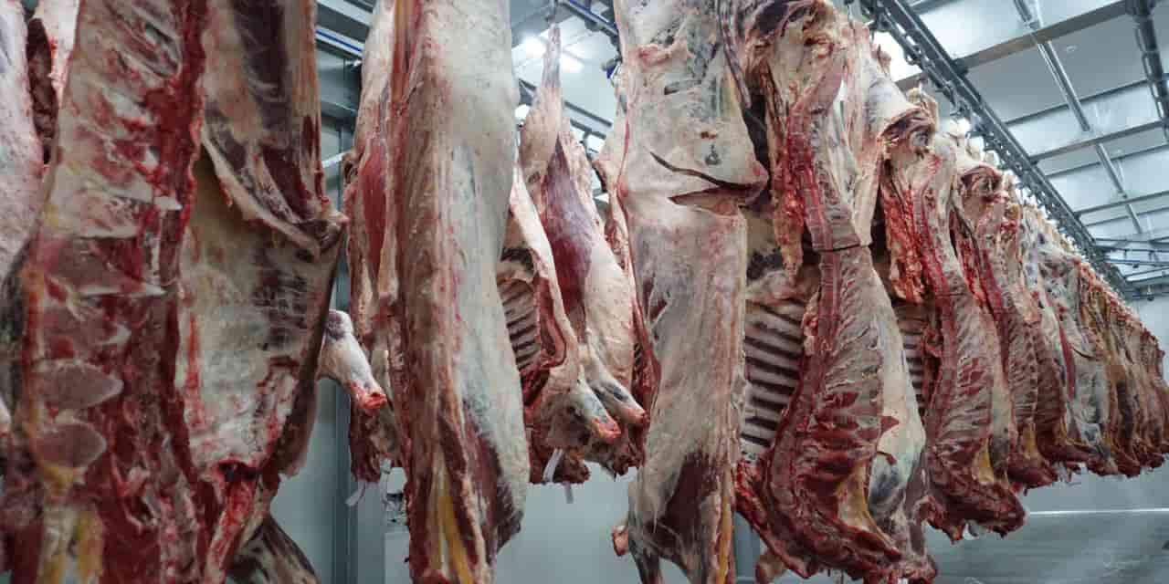 Sojitz to boost Vietnam beef output with Japan-style hygiene