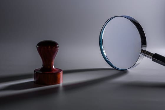 China considers dedicated law for regulatory review system