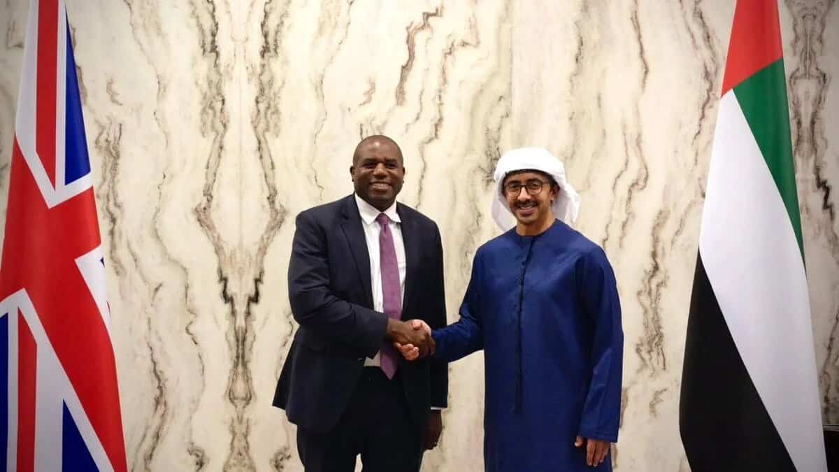 UK Prioritized UAE Ties Over Sudan Atrocities, MPs Told