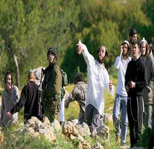 Israeli settler attacks in West Bank surge 63% in first seven months of 2026