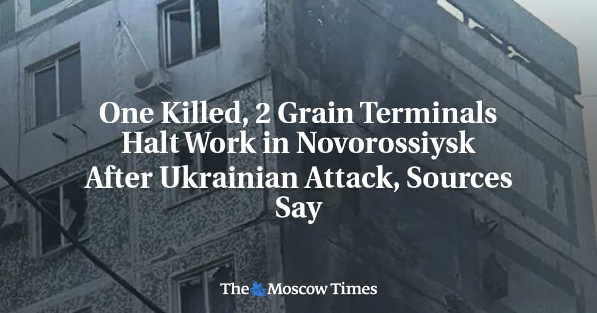 Two Russian grain terminals halt operations after drone attacks