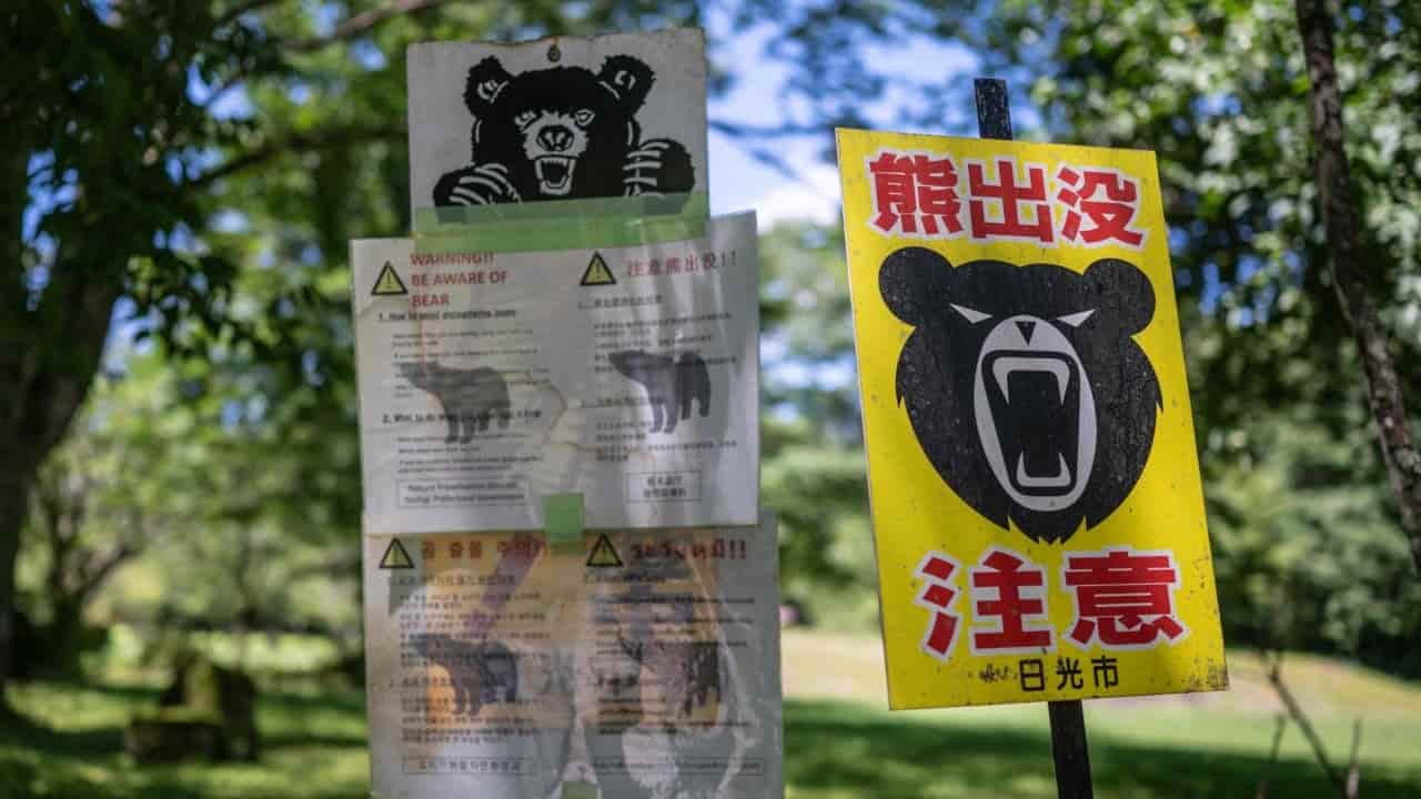 Japan's Departure Tax Windfall Funds Bear and Pest Control Efforts