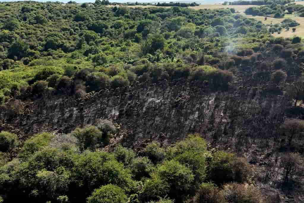 England faces 'exceptional' wildfire risk amid heatwave