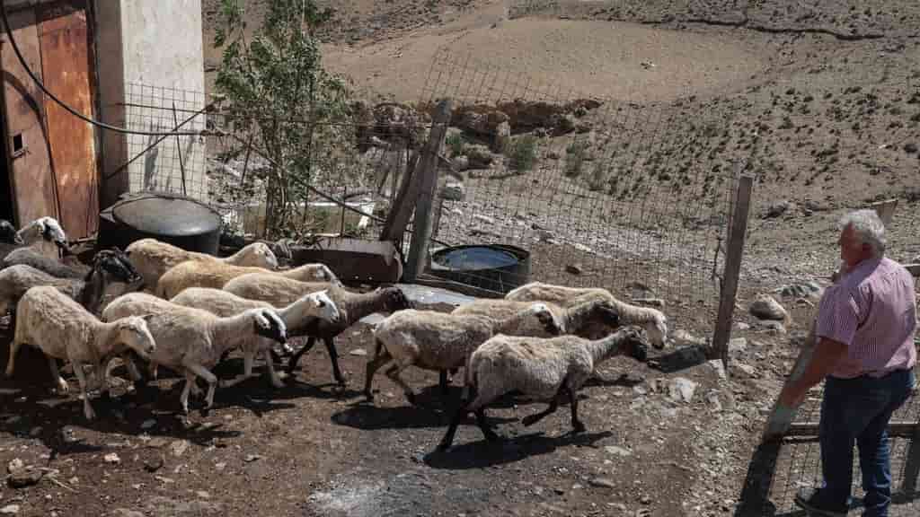 EU prosecutors indict four Greek lawmakers over farm aid fraud